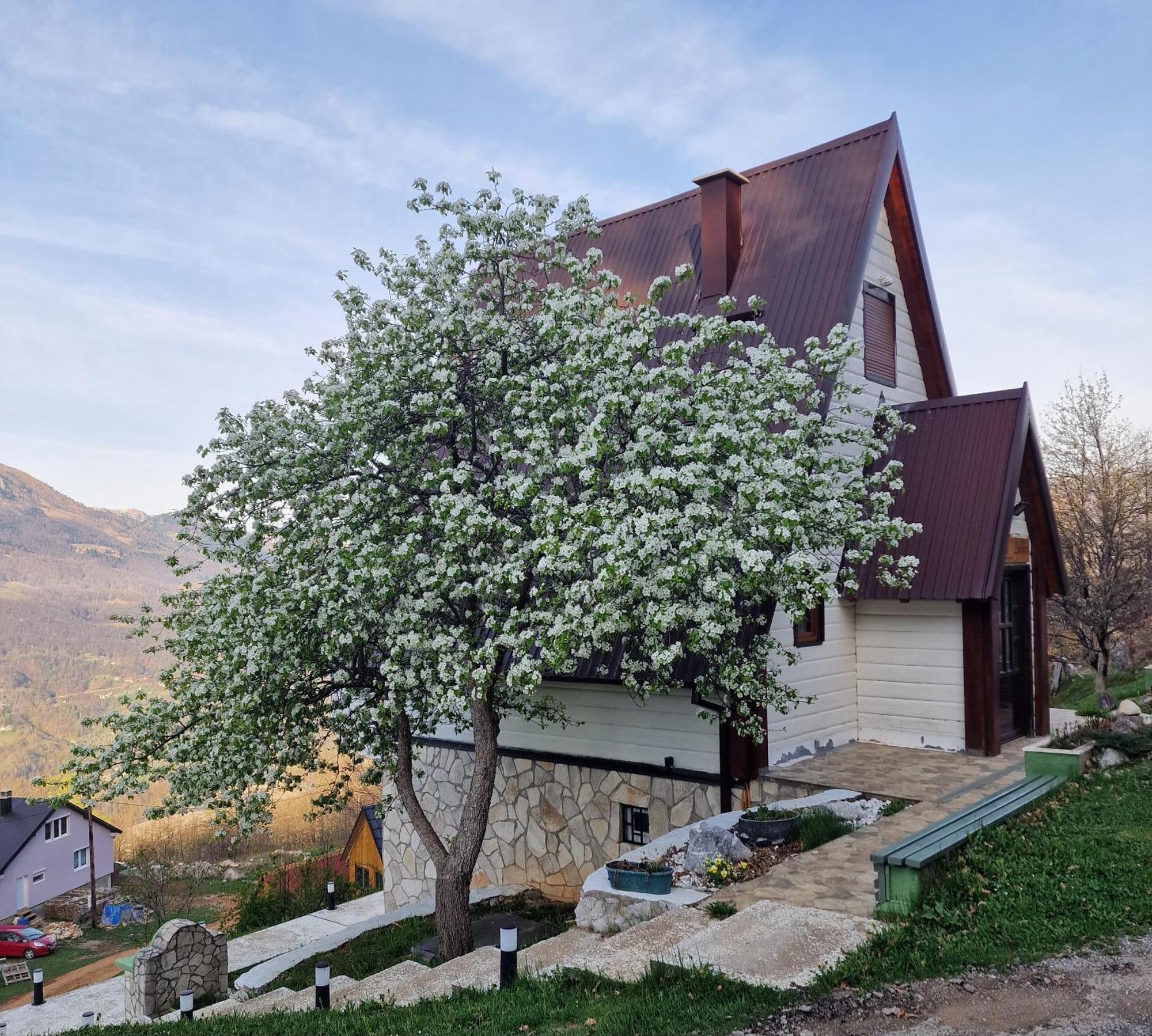 Apartmani Vukomanovo Mojkovac Exterior foto